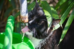 Fotografin: Maria Fromme