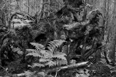 2013_nationalpark_13