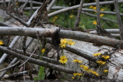 2013_nationalpark_15