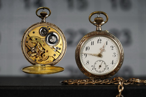 interner Fotobewerb zum Thema Makro 12 Fotograf: Georg Groß