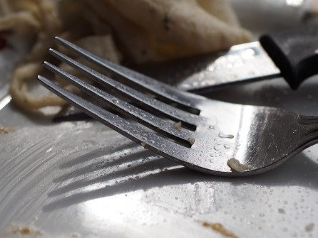 interner Fotobewerb zum Thema Makro 23 Fotografin: Margit Späth