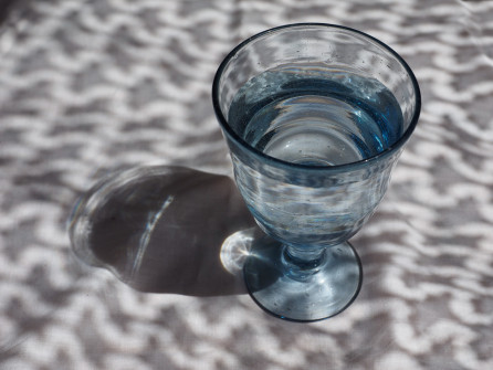 Bild des Monats Juni 2018 7 Fotografin: Margit Späth-Pleyer