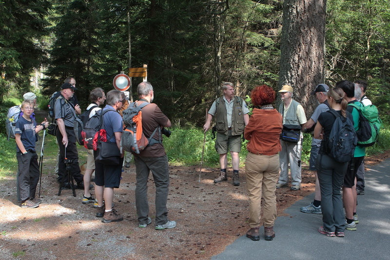 Nationalpark Bayerischer Wald 2013