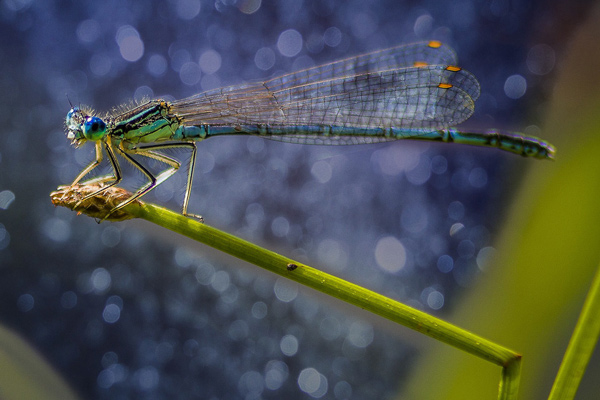 beitragsfoto_2