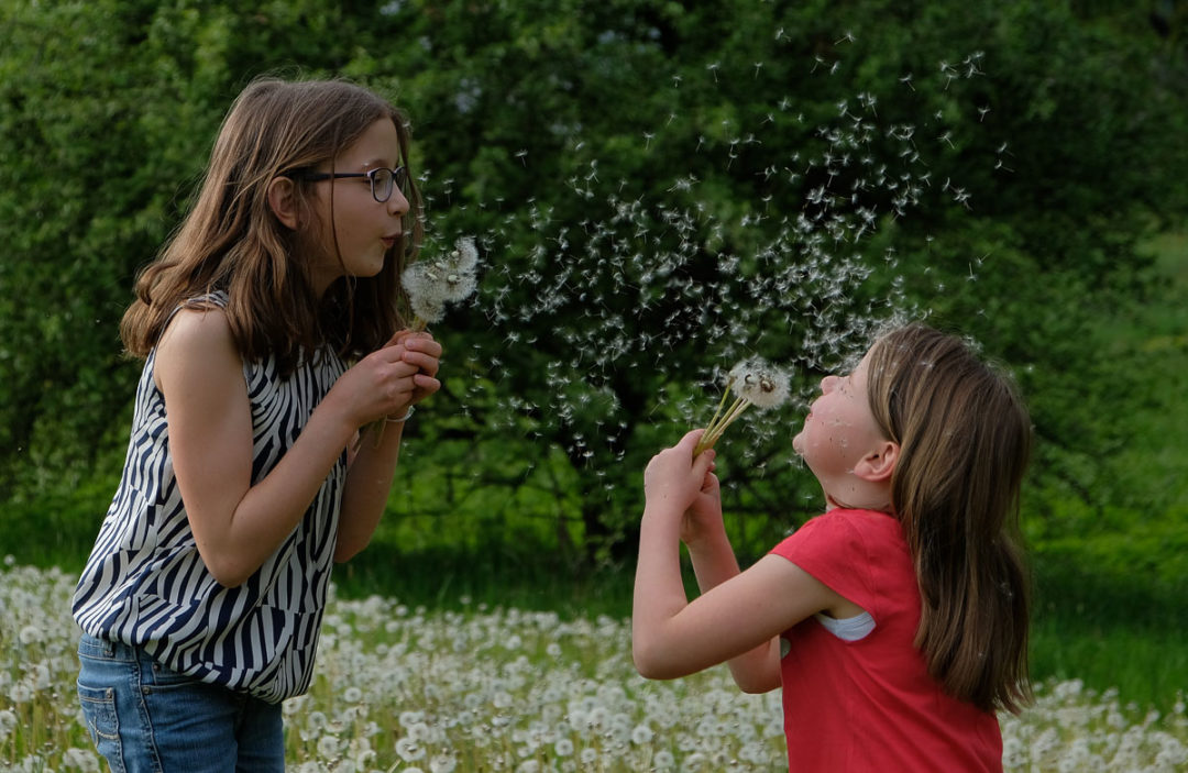 Bild des Monats Juni 2019