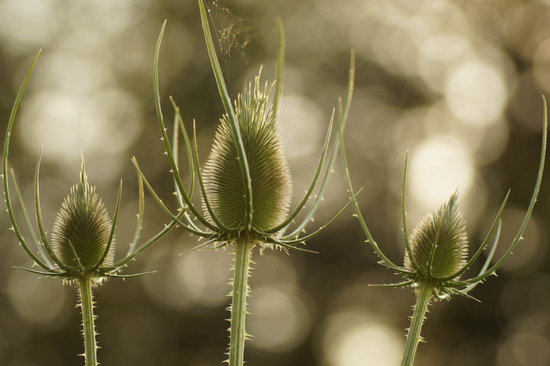 Bild des Monats Oktober 2019 Monatswettbewerb