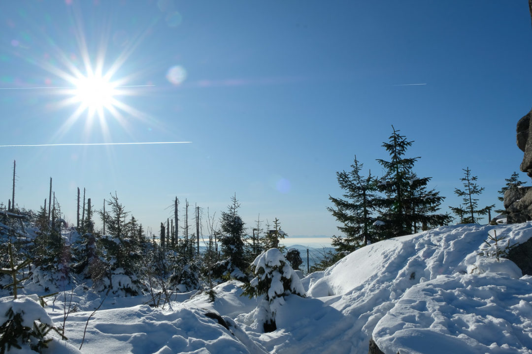 Bild des Monats Januar 2020