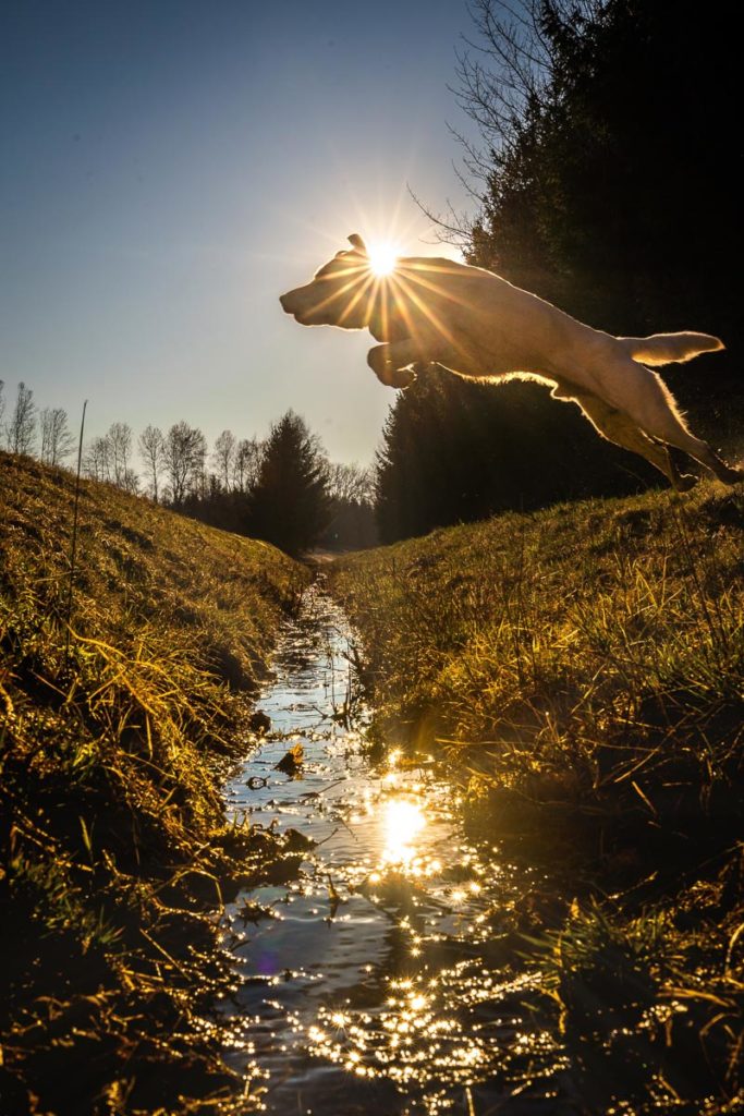 Bild des Monats April 2020
