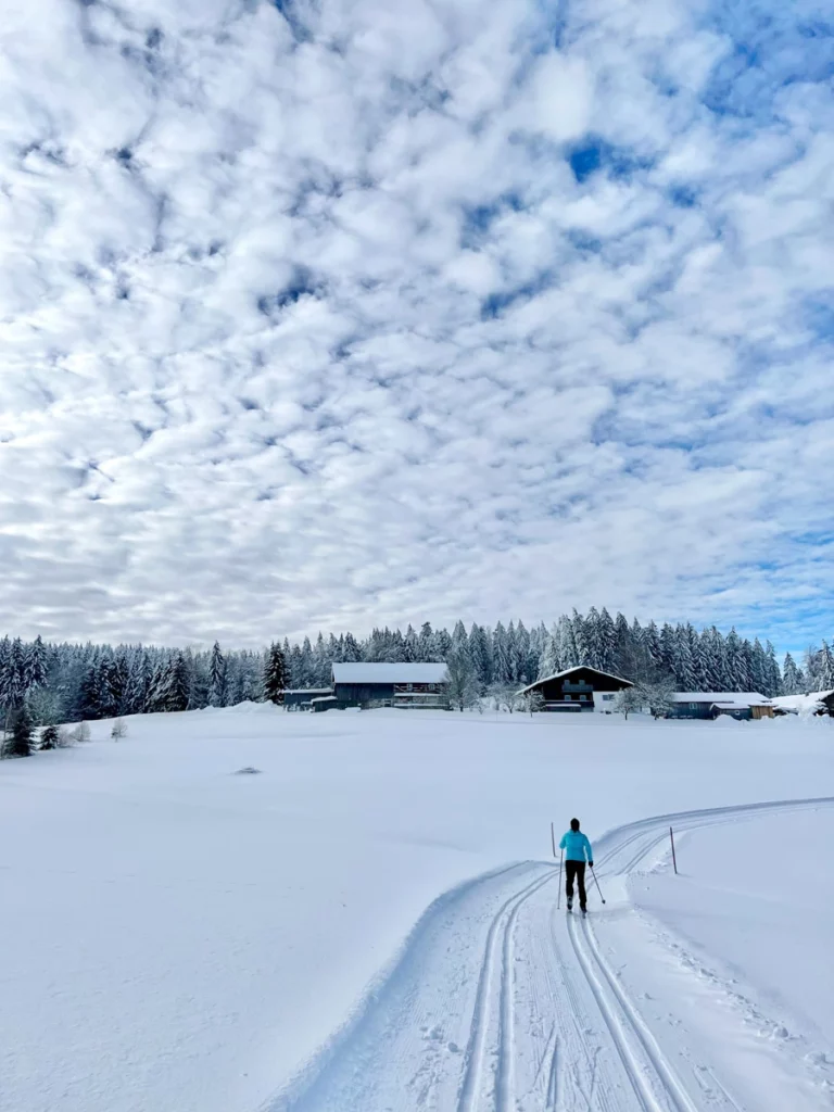 Bild des Monats März 2023 - Das Bild zeigt eine verschneite Landschaft mit Langlaufloipe und Langläufer in Herzogsreut im Bayerischen Wald