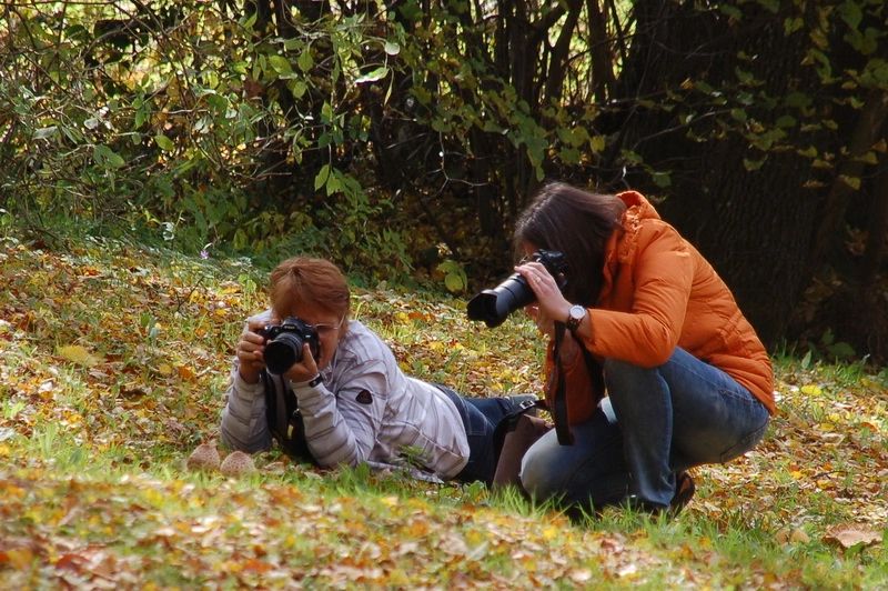 Fotokurs für Anfänger 2024