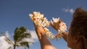 offizielles-Plakatfoto-Hawaii