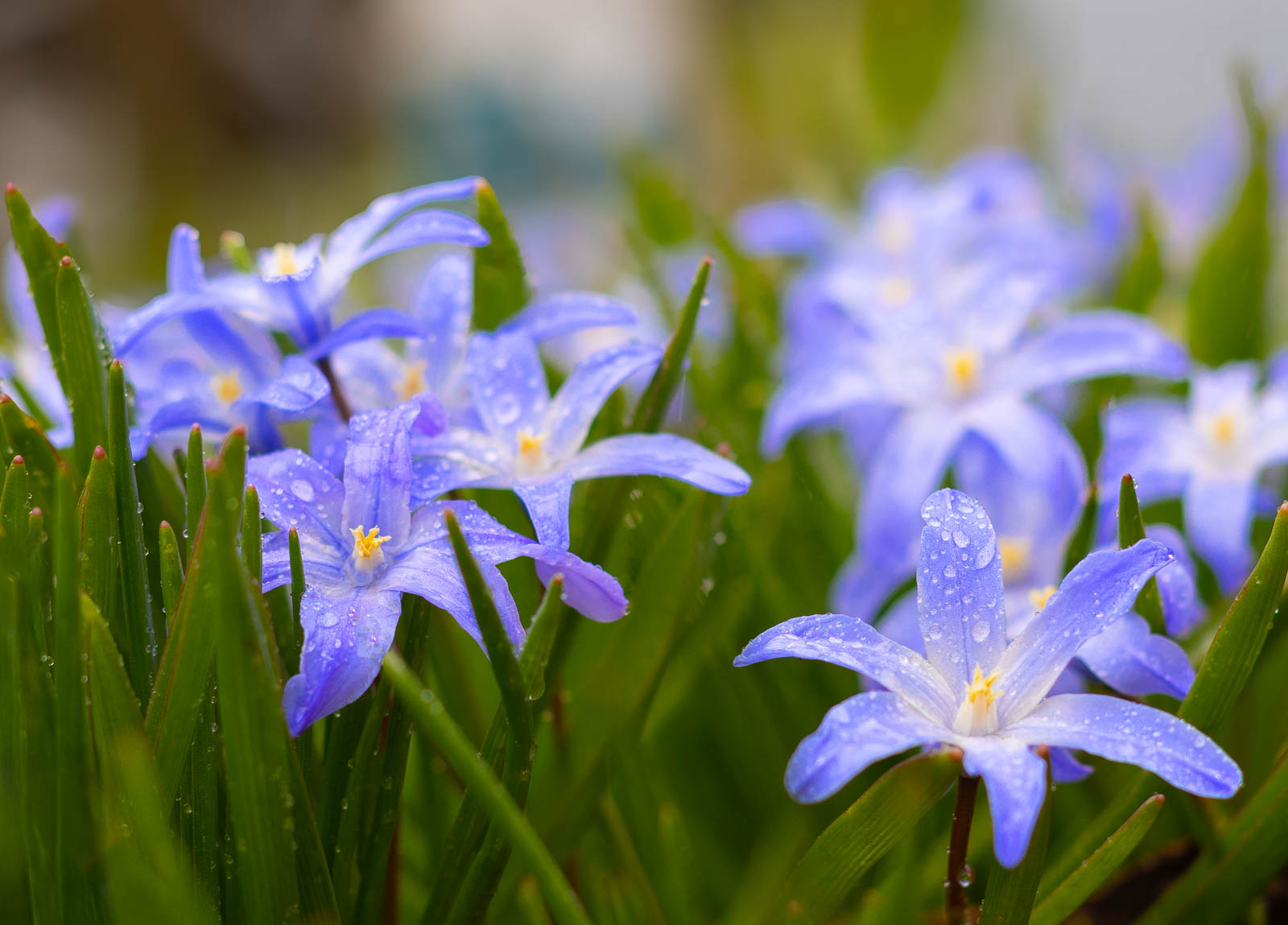 BdM_2026_04_Christine_Bloechinger